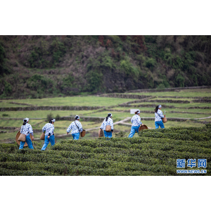 非凡体育app新华社重庆频道