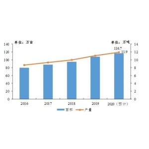 广东为什么出不了“中国十台甫茶”？非凡体