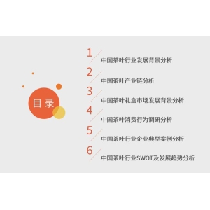 艾媒征询｜2024-2025非凡体育官网